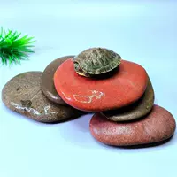 5 кусков платформы для сушки черепах (8-15 см)