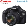 Máy ảnh DSLR Canon / Canon 1100D 99 Năm mới 50D 60D 550D 450D 600D - SLR kỹ thuật số chuyên nghiệp máy ảnh nikon