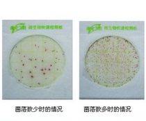 Green Chau Colonies biochimiques Total feuille dessai 24 copies de la durée de conservation de la boîte 2 ans