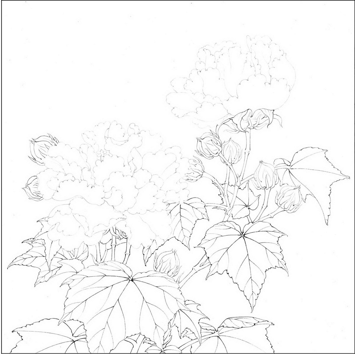 Manuscript of fine brushwork painting--Lin Song Li Di's red and white hibiscus