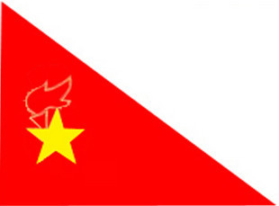 (Team Flag) less First Team Flag Team Flag 50 * 30cm