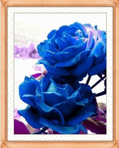 ������ʮ����781318