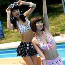Special price promotion Ginger swimsuit Japan-ROK version of three sets of skirt-style bikini swimsuit women 2745