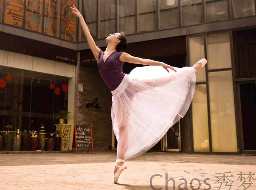 Professional Adult Female Ballet long yarn Soft yarn TUU Dance long dress Skirt Performance Suit