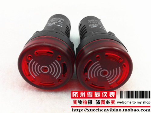 闪光蜂鸣器  220V