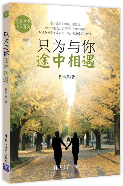 只为与你途中相遇