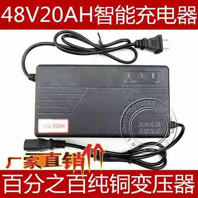 Smart electric vehicle 48V20A charger 48V20AH electric vehicle charger Yadi Emma Xinri Fujitec