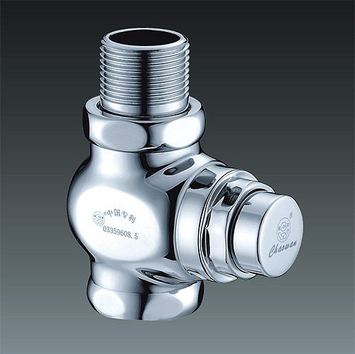 CW Tide Bay Full Copper Bathroom Five Gold Accessories Squatting Pan Time-lapse Flushing Valve Stool Time-lapse Valve A1S