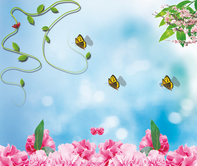 ������ҵ��þ���Ͻ�ֻ�������ӡд����������sg380