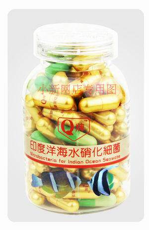 With ticket Hong Kong Q brand Indian Ocean seawater nitrifying bacteria 100 grains for seawater tank