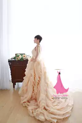 One-shoulder wedding dress 2021 new bride Princess dream Korean Thin tailed hair dress spring and summer custom