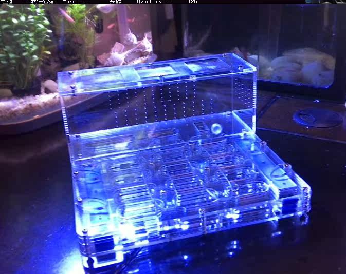 Acrylic Nest - Double Dragon II