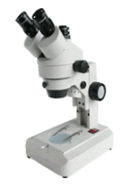 Phoenix XTL-165-VT Upper and Lower Light Source Three-eye Microscope