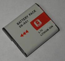 Professional Sony Camera BG1FG1N1T20W100W70W230W290 Lithium Battery