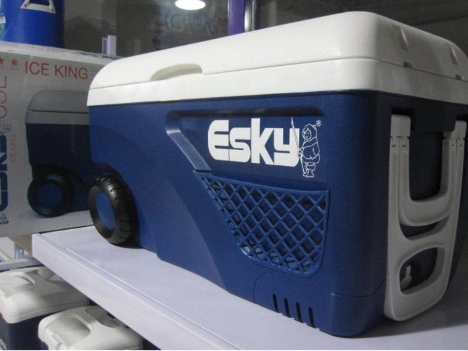 ESKY Incubator 65L Car Refrigerator Fresh-keeping Box Refrigerator Ice Bag Brick Insulation Fishing Box