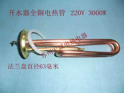 Water heater copper electric heating tube heating pipe 220V3000W water heater heating water boiler