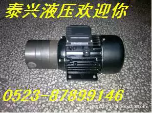 JF-04-05-02B special pump SXF-2 5 SXF-4 5 bidirectional lubricating oil pump motor group