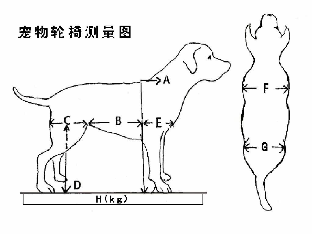 (Pet Wheelchair) Physical And Mental Disorders Dog Wheelchair Dogs for physical and mental impairment Car measuring plots (pets made with wheelchair set matters)