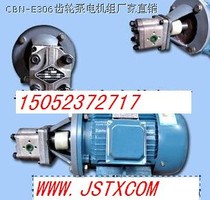 CBN-E310 high pressure gear oil pump motor group CBT-F314 CBN-E314 high pressure oil pump motor group