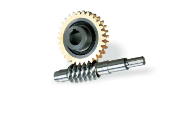 Manufacturers custom WD2 5 die 20:1 worm accessories non-standard special lengthened total length 280 bearing net spacing 250