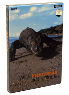 正版现货 印尼野生篇 精装D9 DVD【BBC狂野系列】