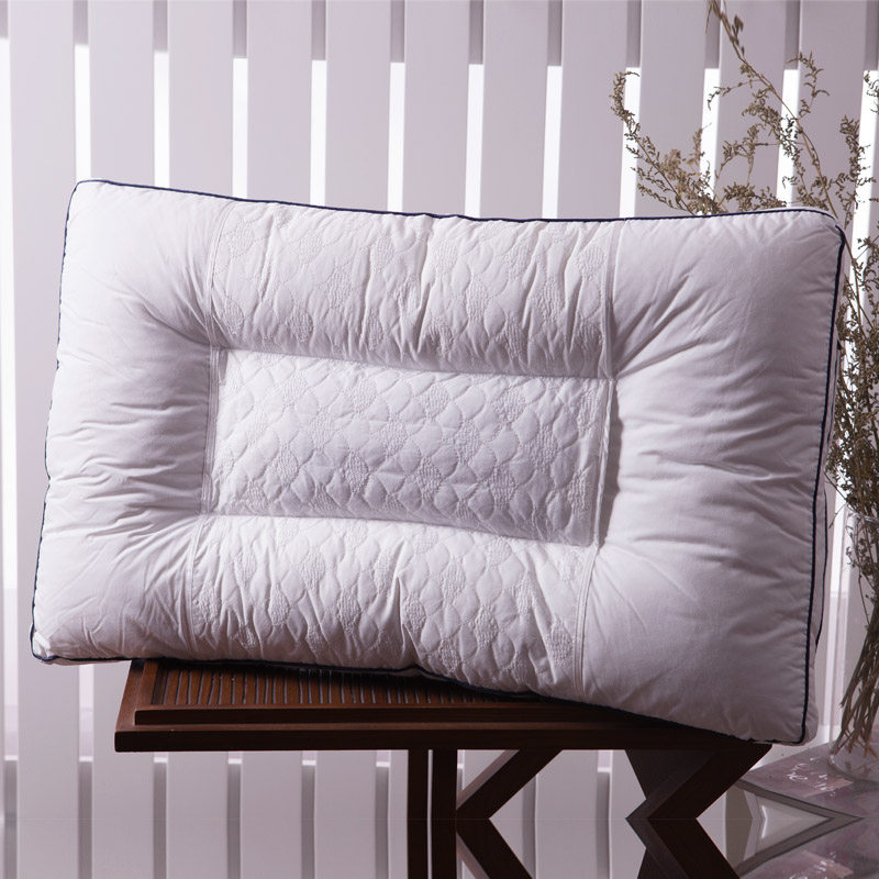 �����ʫ�ҳ���޹�²���Z055T-1