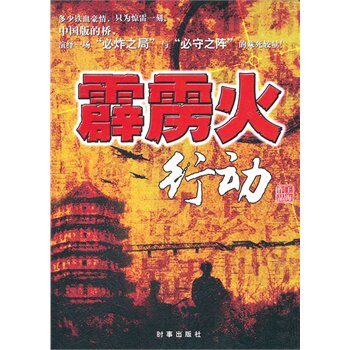正版包邮霹雳火行动正品图书书籍