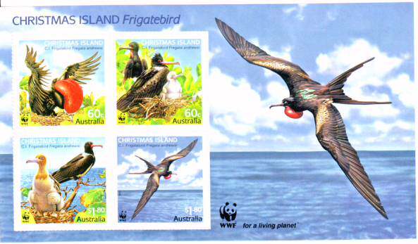 Australia's 2010 small WWF bird 1 new