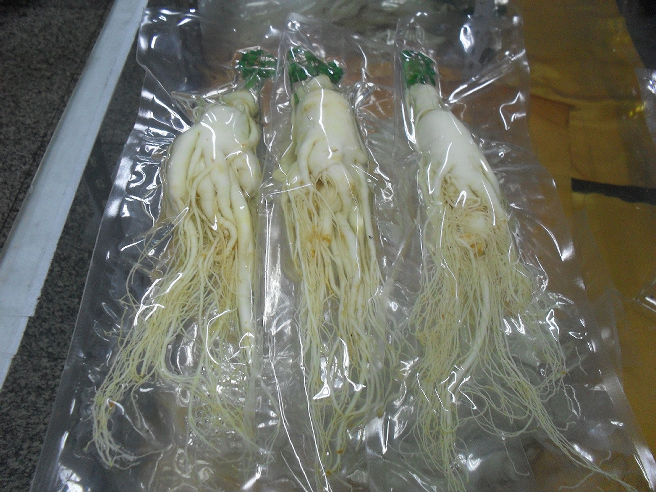 10 years Fresh ginseng Fresh-in-the-bulb wine Ginseng Ginseng Soak in the soup
