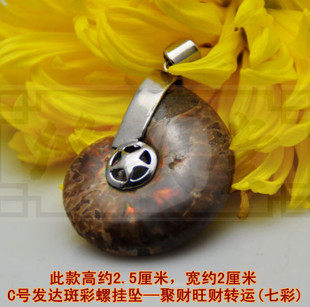 修明堂 李居明吉祥物 C号发达斑彩螺挂坠 聚财旺财转运七彩斑彩螺