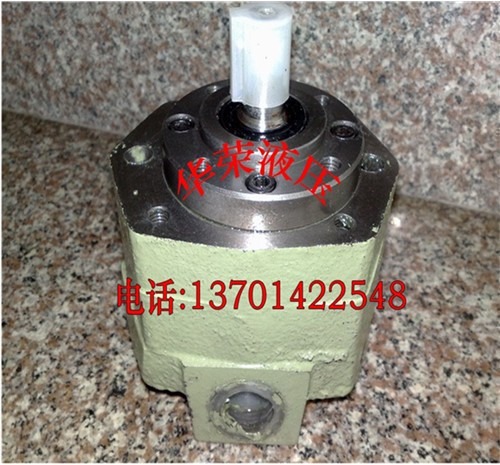 BB-B125 Series Cycloid Oil Pump Gear Oil Pump Lubricating Oil Pump Oil Pump Bidirectional Oil Pump