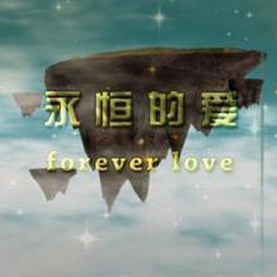 Wedding Video 3D Electronic Photo Making 3D Electronic Photo 3D Wedding Photo Photo Album 3D Eternal Love