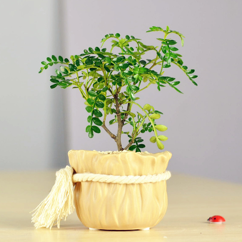 �Ӻ�Ե����ľ�辰