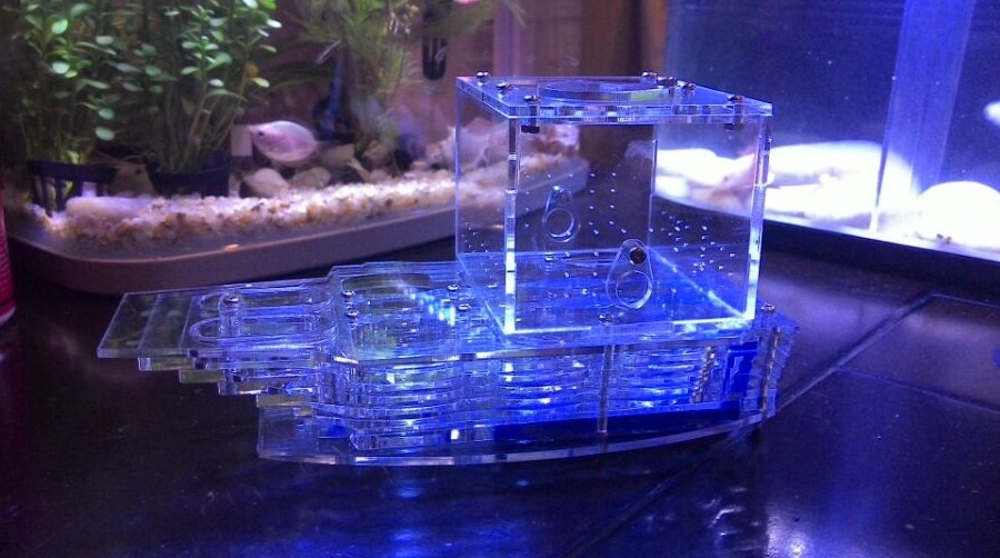 Falling Snow Ant Pavilion ‖Acrylic Ant Nest ‖Ant Villa ‖Falling Snow