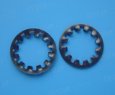 Internal tooth gasket 100 only price m2-m12 m12 GB861
