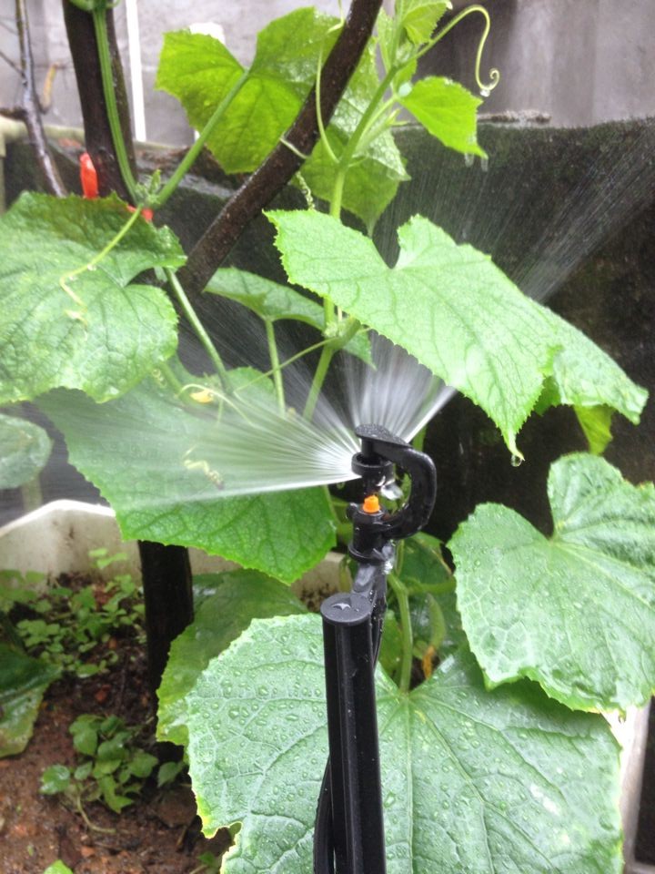 New Listed Automatic Watering Machine Family Garden Rooftop Patio 180 Degrees Atomization Irrigation Nozzle Special Price