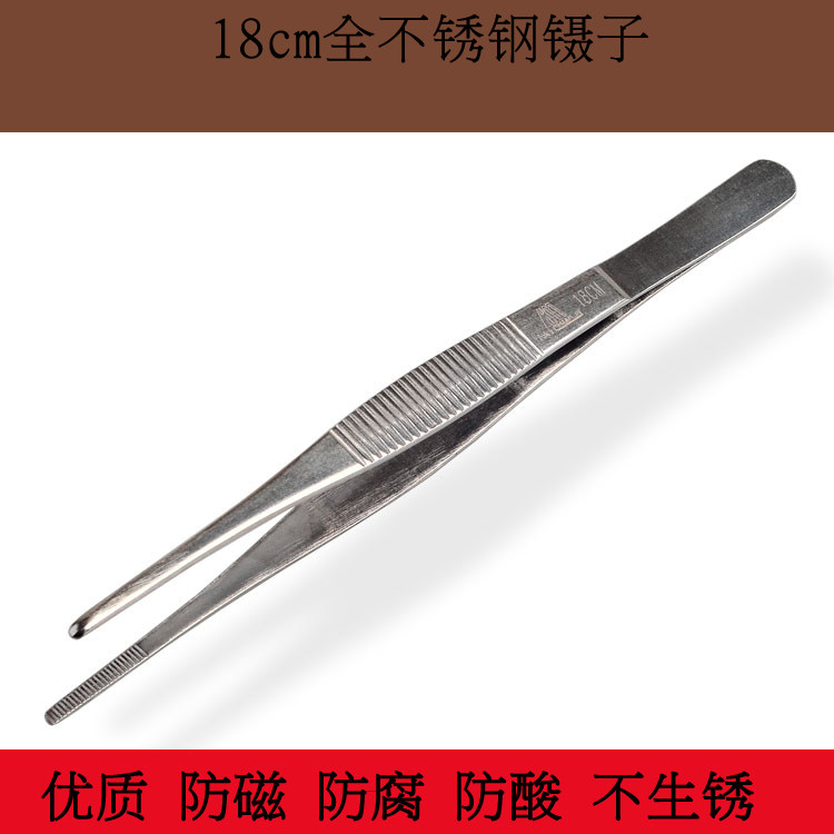 Tweezers Stainless Steel Tip Hardened Extra Fine Tweezers Cupping Tweezers Product Tools
