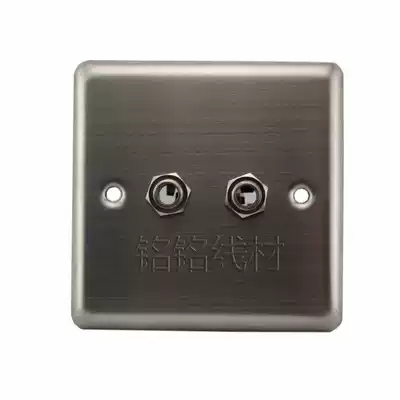 KTV microphone socket Stainless steel microphone panel double 6 35 microphone socket large two-core microphone wall plug