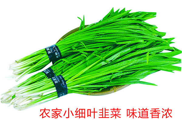 Small fine-leaf leek four seasons spring, summer, autumn and winter roots can be potted single-rooted red vegetable seeds and seeds with strong fragrance and chewy