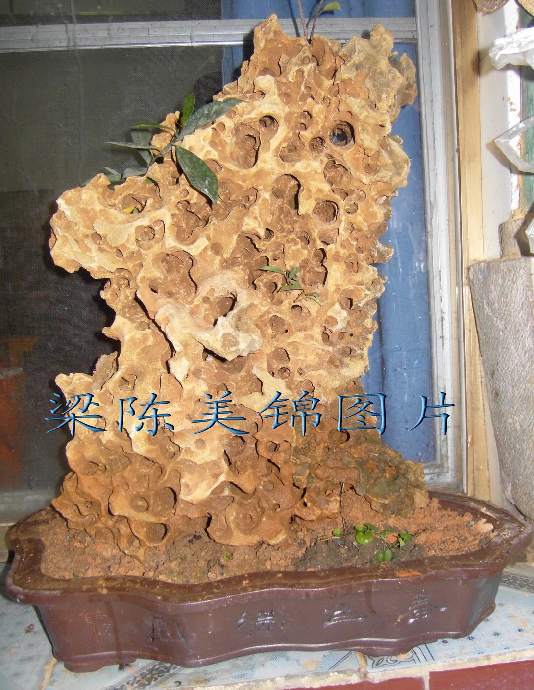 Qishi Yunnan Red River pottery stone Pool fish tank Rockery stone Modeling stone Absorbent stone