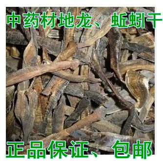 The earthworm Chinese herbal medicine Guangda earthworm dry earthworms dry Qu and the earth worm in the whole opening of the earth and the earth is open 500g