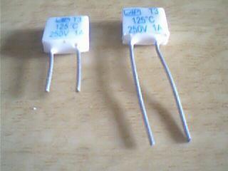 Second class thermal fuse AC250V 1A 125°C 400 minimum order
