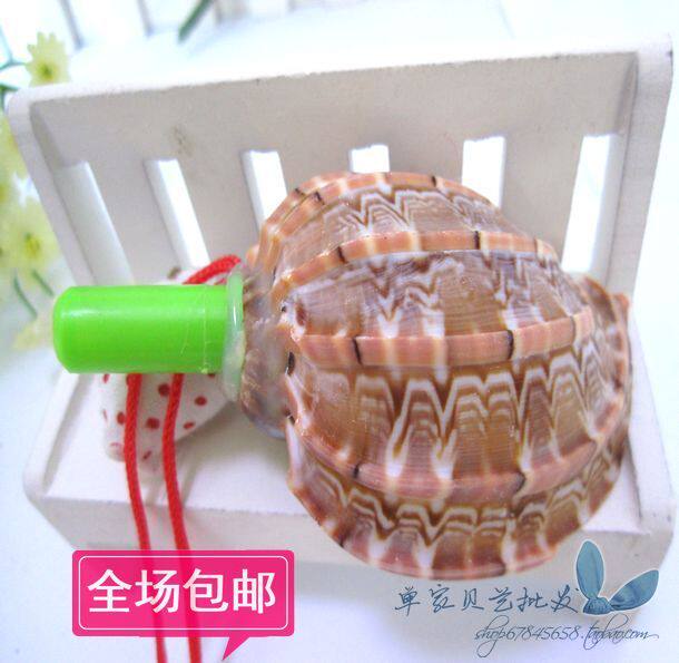 Natural Sea Snail Shells Pipa Snail Whistle 10 cm screw number