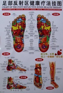 足部反射区挂图/ 足部穴位图/ 足底按摩图足疗图清晰穴位图包邮