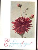 Su Shimai postage film-flower 3 8 section 67 years-28