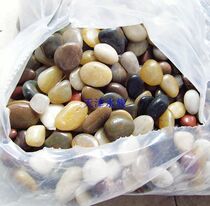 Crown Credibility] Small Natural pebbles landscaping stone fish tank bottom sand 500g
