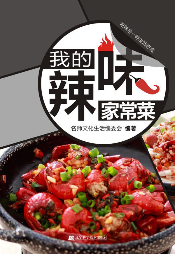 正版包邮我的辣味家常菜正品图书书籍