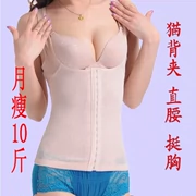 Áo nịt ngực nữ, bụng, dạ dày, dạ dày, mèo, kẹp lưng, áo sơ mi, áo vest, corset bưu chính