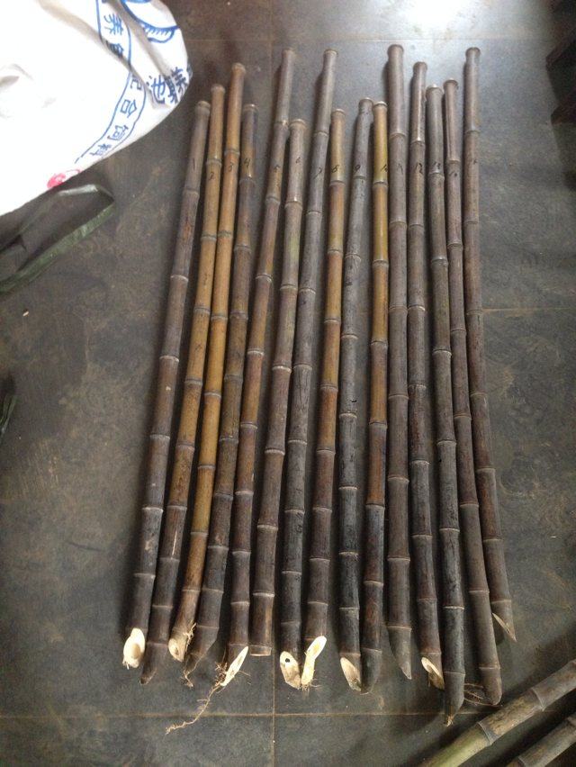 Purple bamboo does not carry heels