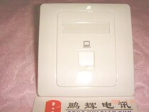 Simon a computer network information socket furnishing panel (free of line type)